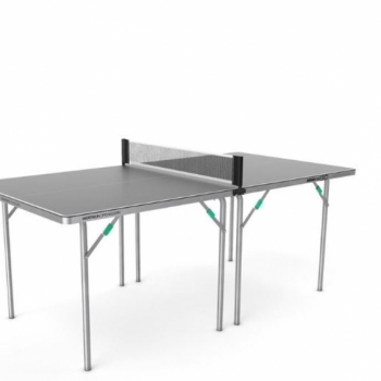 L2 - 1 table de ping pong indoor